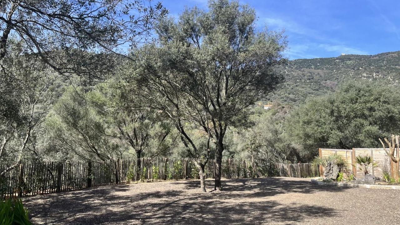 Apartment N7 Maison T2 Climatise Avec Jacuzzi Prive Ajaccio (Corsica)
